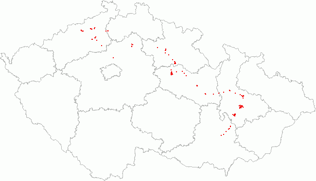 Odlovené cache v mapě